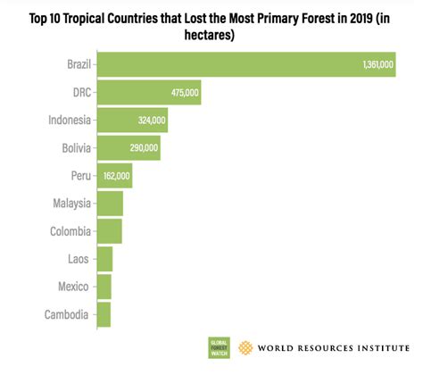 What causes deforestation in Indonesia, the world’s largest palm oil producer? - Sustainable ...