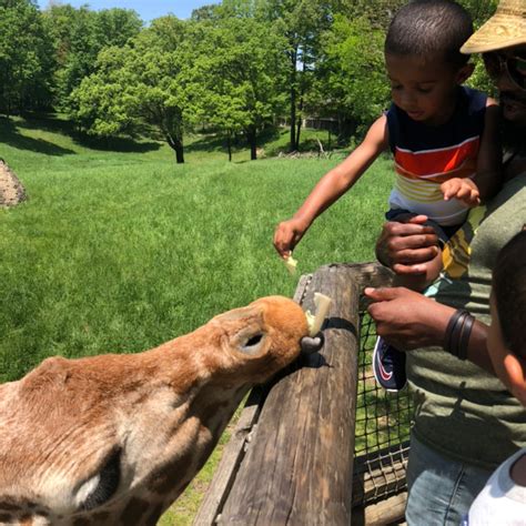 25 Petting Zoos, Zoos + Animal Sanctuaries Kalamazoo Families Love ...