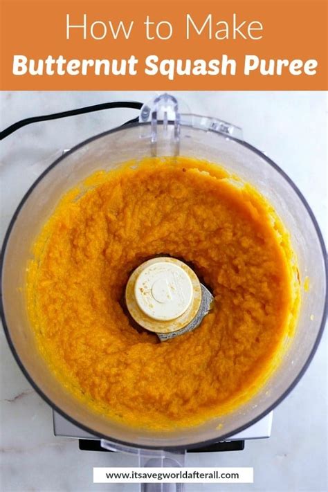 How to Make Butternut Squash Puree - It's a Veg World After All®