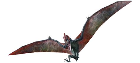 Pteranodon | Jurassic Park Wiki | Fandom