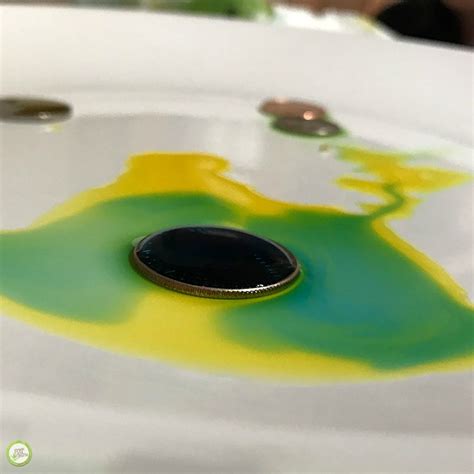 Water Surface Tension Experiment for Kids - Green Kid Crafts