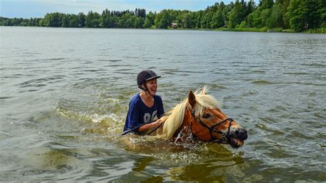 Can Horses Swim, Float, or Do They Sink Like a Stone?