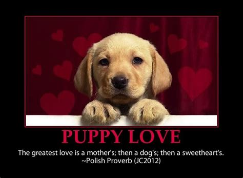 Yep! That's right!!! | Puppy love quotes, Puppy love, Animal love quotes