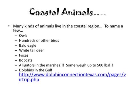 PPT - Coastal Plains Region PowerPoint Presentation - ID:3439691