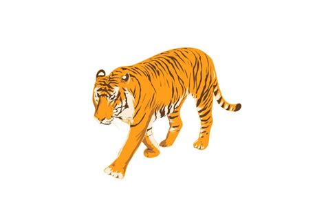 Bengal Tiger Side View Isolated WPA | Illustrations ~ Creative Market