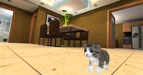 Kitten Cat Simulator APK for Android Download