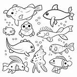 Aquarium Fish Coloring Pages Free Best Of Marine Animals Page  sketch template