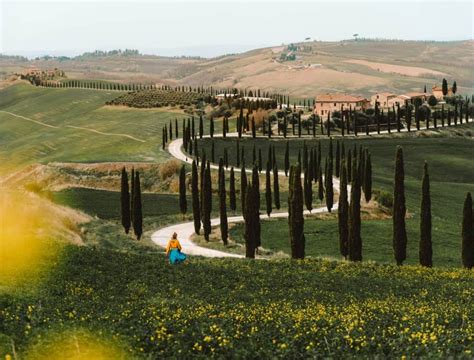 Rolling hills, vineyards and medieval castles. Drive 3 days along the scenic roads and discover ...