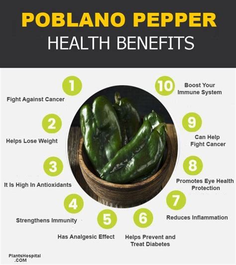 Top 10 Scientific Health Benefits Of Poblano Pepper & Nutritional Values