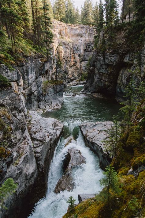 10 Easy Hikes In Jasper National Park To Introduce You To The Great ...