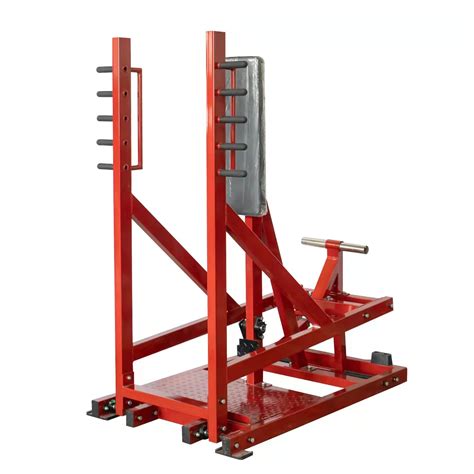 Dynabody Gym Power Press Fitness Standing Chest Press Machine - Fitness Equipment and Leg ...