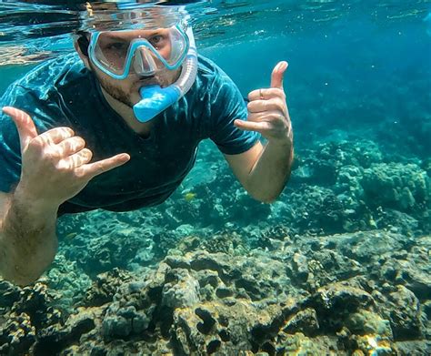 Snorkeling at Captain Cook: Everything You Need to Know About The Best ...