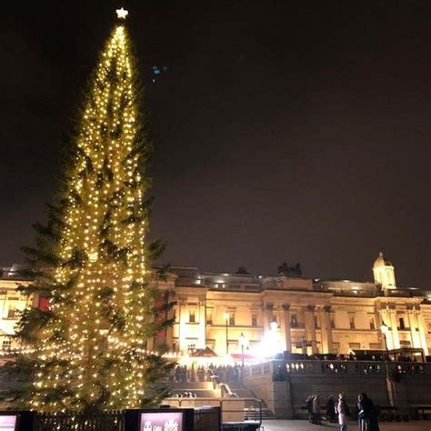 Trafalgar Square Christmas Tree lit up in festive ceremony - BBC News