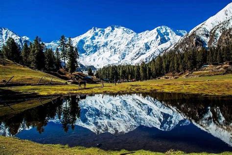 Fairy Meadows Trek (Nanga Parbat) - Pakrism Travel Platform