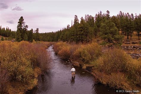 East Fork Black River, Arizona | Fishbum