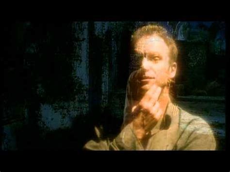 Sting - Fields Of Gold (1993) | IMVDb