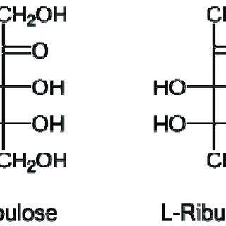 Structures of D-and L-ribulose. | Download Scientific Diagram