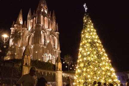 Christmas Eve Blooms in San Miguel de Allende | Discover San Miguel de ...