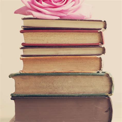 Rose On Books Wall Art | Photography