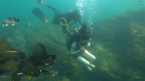 Scuba Diving in Goa - Scuba Goa Dive Centre