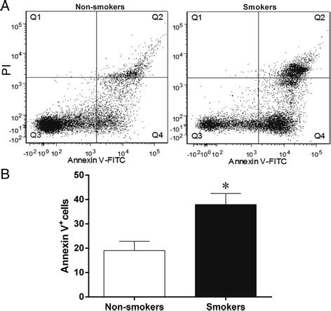 Flow cytometry analysis of apoptosis. Dot plots show apoptosis ratios ...