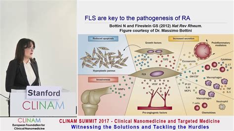 Rheumatoid Arthritis: Unmet Medical Needs and How Nanomedicine can help - YouTube