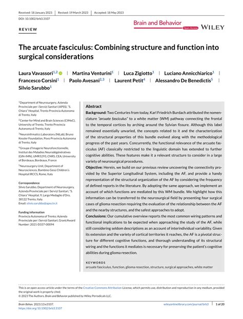 (PDF) The arcuate fasciculus: Combining structure and function into ...