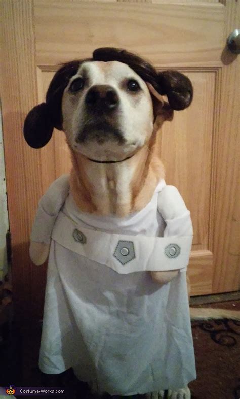 Princess Leia Dog Costume | Coolest Halloween Costumes