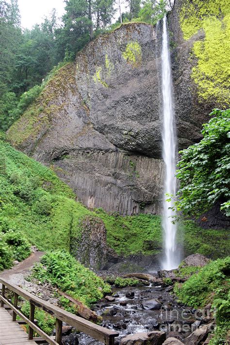 Latourell Falls Columbia River Gorge 3302 Photograph by Jack Schultz ...