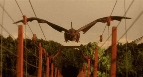 Flying Gyaos GIF – Flying Gyaos Gamera – discover and share GIFs