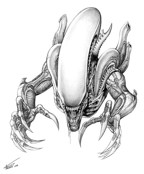 How To Draw An Alien From Alien Vs Predator Avp Step By Step Drawing ...