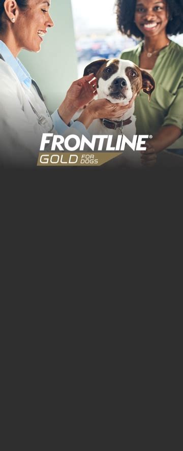 FRONTLINE® Gold for Dogs | Triple Action Flea and Tick Treatment