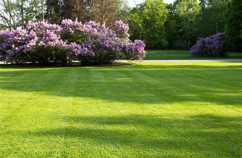 Yard Care Year Round – Lawn Care and Landscaping Tips