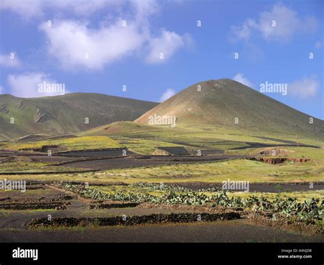 Lanzarote Volcanic Landscape Springtime Stock Photo - Alamy