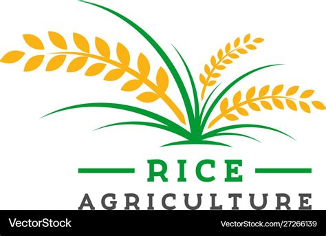 Rice farming logo design Royalty Free Vector Image