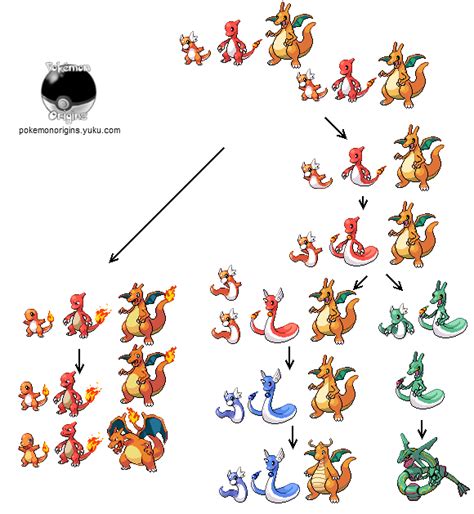 Diagram showing the evolutionary split between Charizard, Dragonite ...