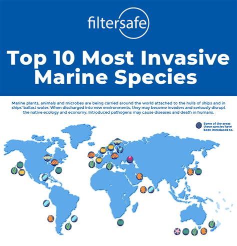 10 Most Invasive Marine Species | Filtersafe