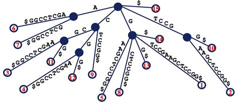 ROSALIND | Encoding Suffix Trees