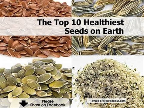 The Top 10 Healthiest Seeds on Earth