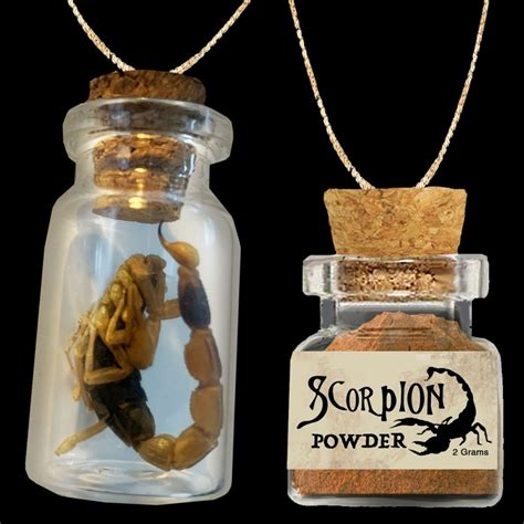 Edible Scorpions in Bottles - Edible Insects