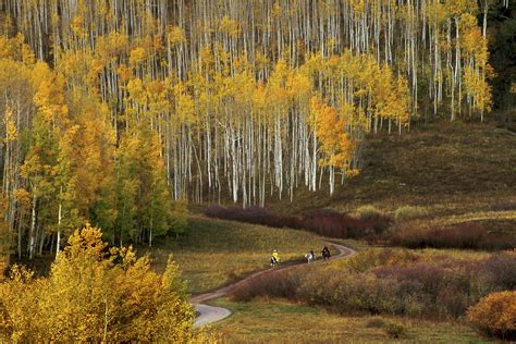 Colorado fall color guide: Best hikes, drive and events | Fall hiking trails, Fall hiking ...