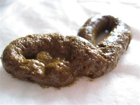 You can sell your POOP for 13,000 dollars per year!!! - Gallery | eBaum's World