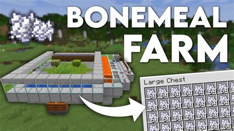 Minecraft Easy BONEMEAL FARM 1 19 automatic AFK Tutorial - YouTube