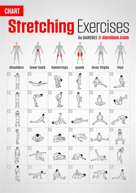 Printable Daily Stretching Routine