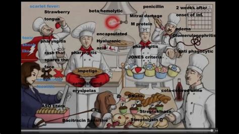 Streptococcus Pyogenes. Sketchy + Kaplan - YouTube