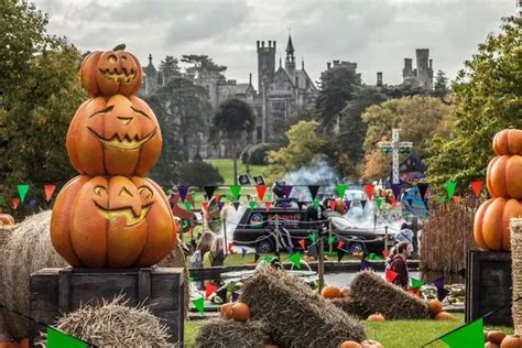 Alton Towers' Scarefest Halloween attraction will feature new 'scare maze' and CBeebies monster ...