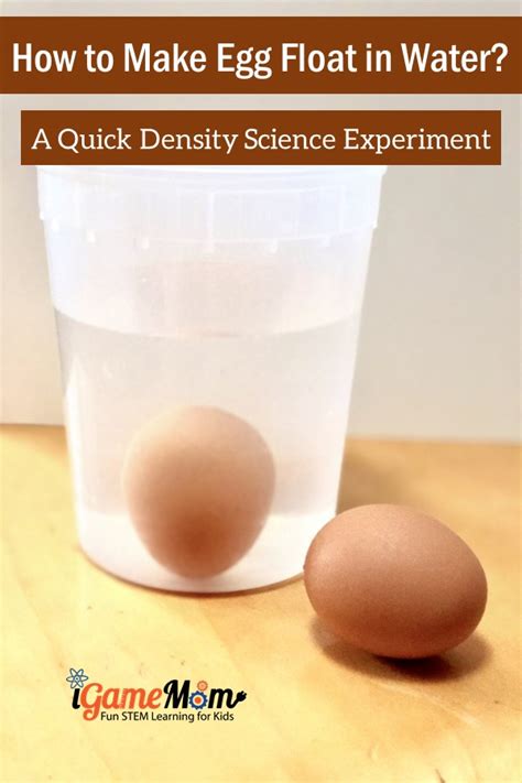 Egg in Salt Water Science Experiment