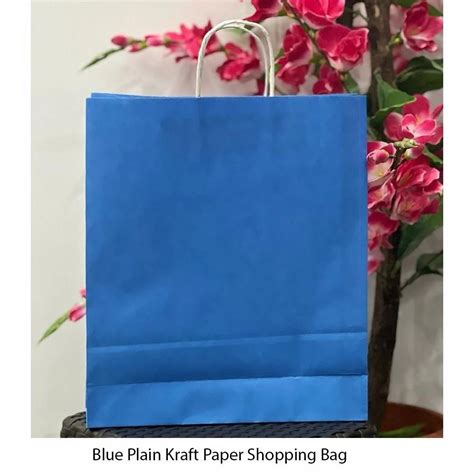 Blue Plain Kraft Paper Shopping Bag, Loop Handle, Capacity: 4 kg at Rs ...