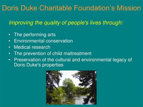 PPT - Doris Duke Charitable Foundation African Health Initiative PowerPoint Presentation - ID ...