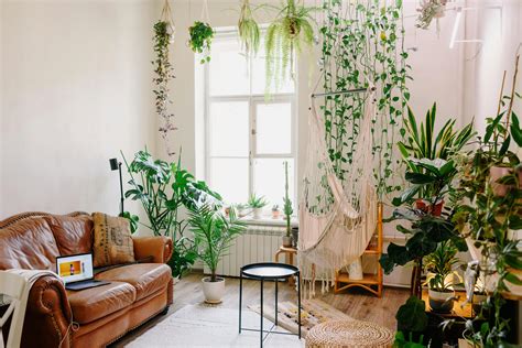 Modern living room interior with furniture and assorted plants · Free Stock Photo
